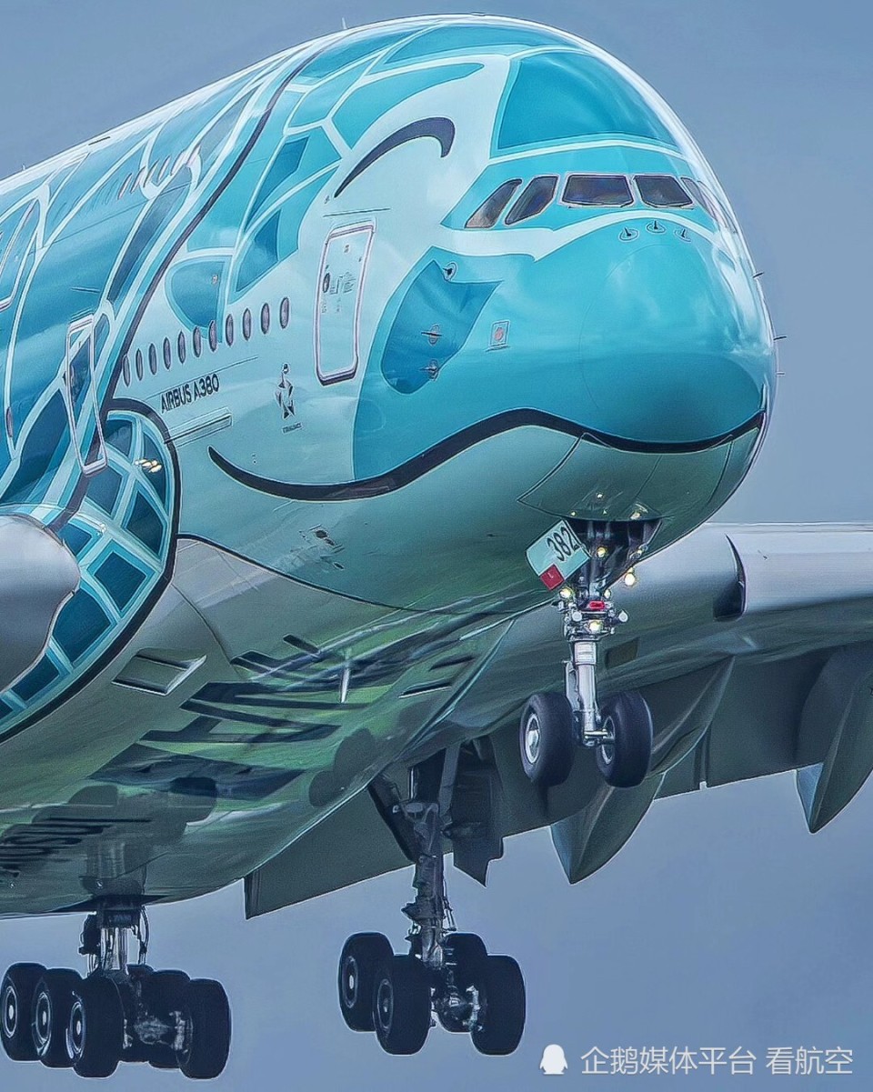 全日空a380海龟涂装,这架飞机在"微笑".