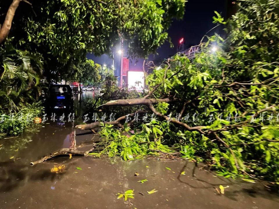 狂风暴雨突袭玉林,他们冒雨出动