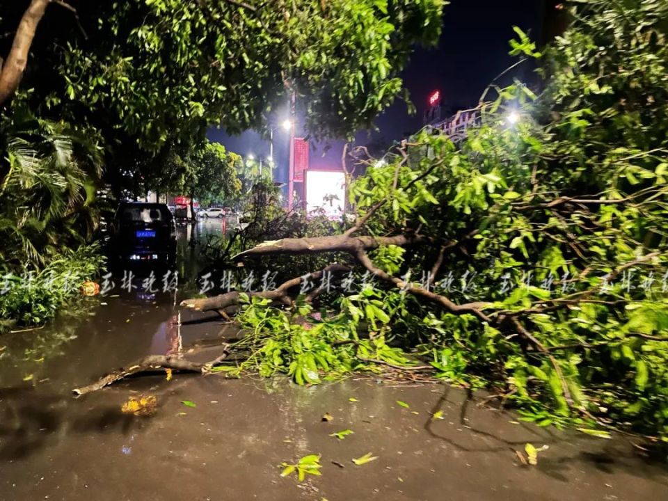 武汉暴雨大风图片