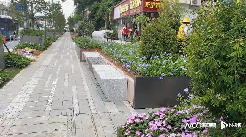 宝安一道路种花池被指过度设计造价高 交通部门:投资可控_腾讯新闻