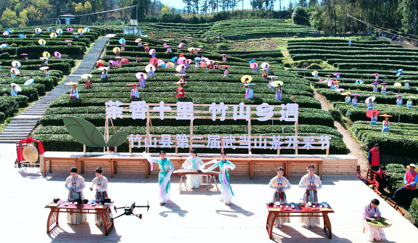 湖北竹山第二届武当山茶开采节盛大开启