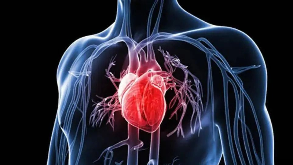 医生提醒:这7种"心脏病",根本不算病,不要瞎治