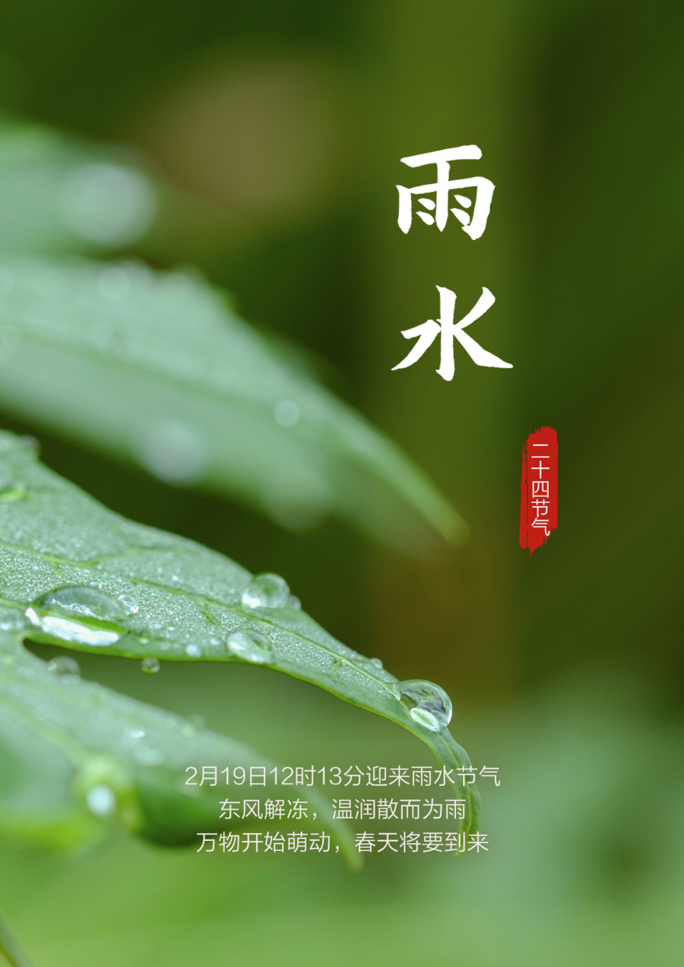 雨水的图片景色大图图片