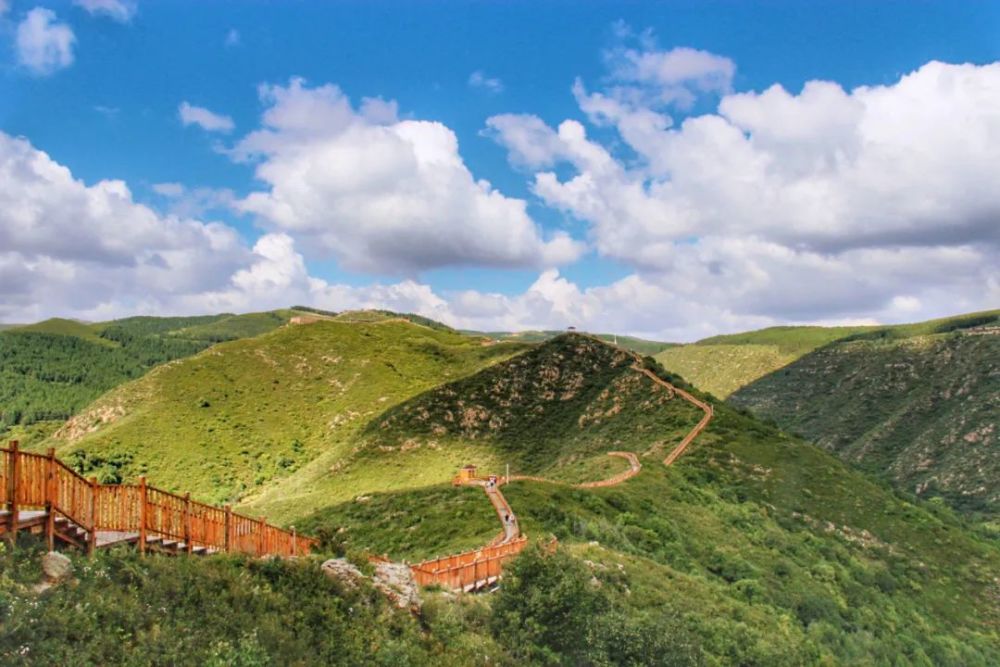 大青山健步道開春旅遊地總是比安靜的地方更能贏得羊兒的歡心充滿神秘