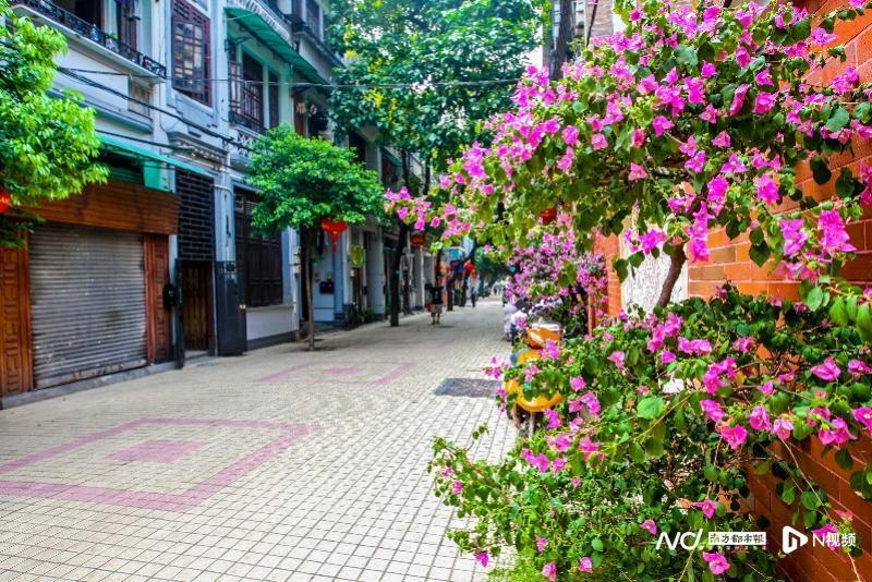 六榕街道整治后的街巷.