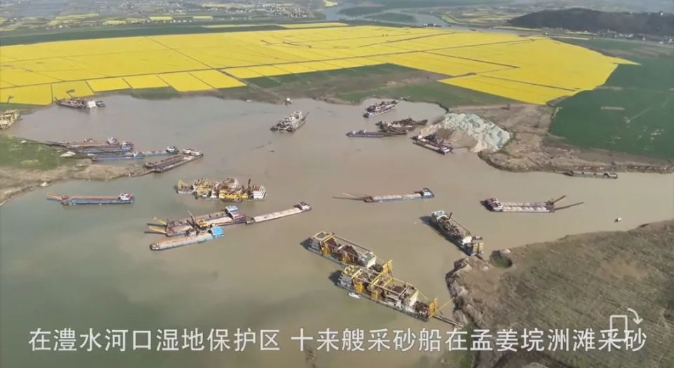 洞庭湖区需走出"边整改,边破坏"怪圈 | 新京报社论