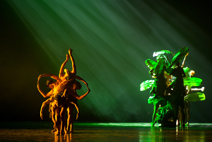 "荷花奖"舞台,云南傣族舞蹈再现大象迁徙壮丽之旅-腾讯新闻