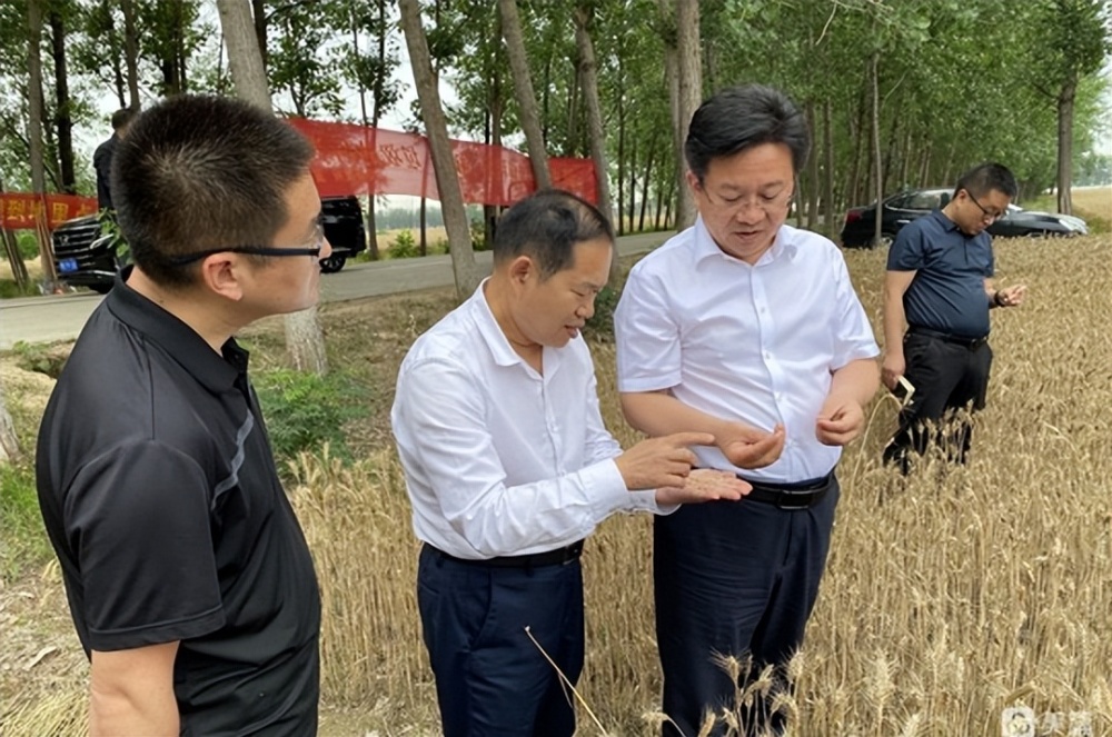 永城市委副书记代市长刘建龙深入酂阳镇调研指导三夏生产工作