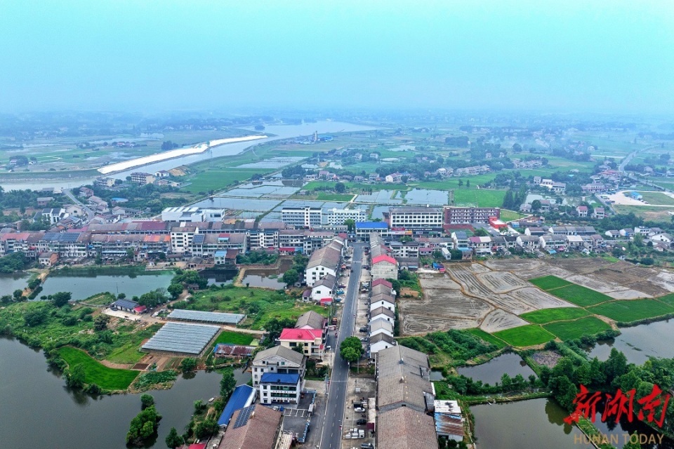 益阳张家塞乡:特色产业穰穰兴 悠悠水乡景如画