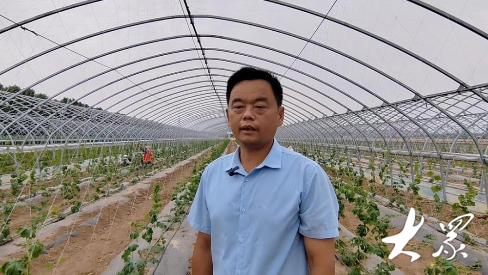 小村增收新路子,苦瓜种出"甜日子"