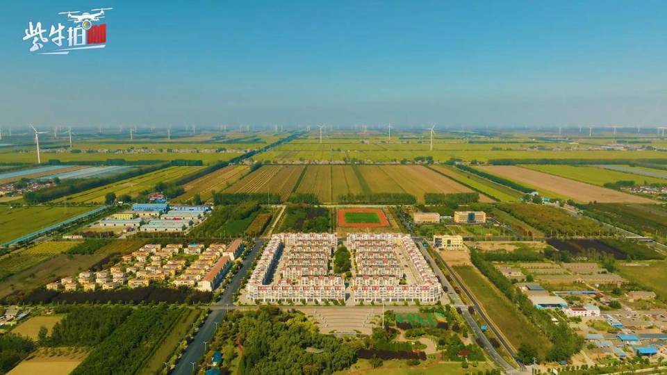 紫牛拍咖大美苏垦黄海农场