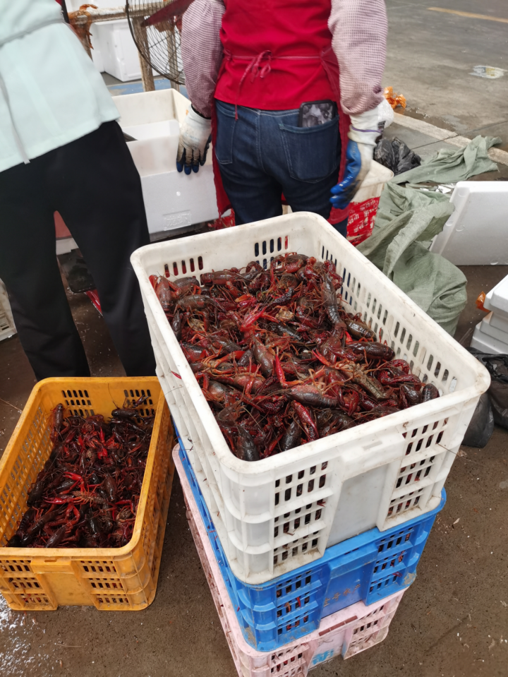 产业链:潜江小龙虾"红遍天下"的秘密