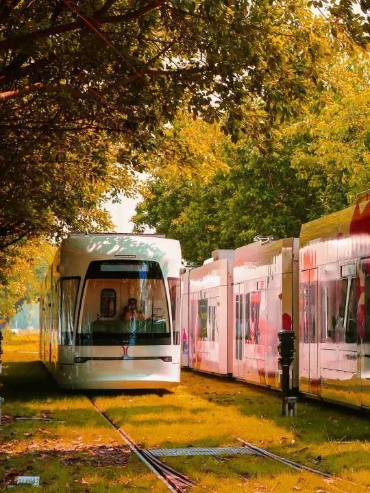 8元抢购桌游畅玩 有轨电车