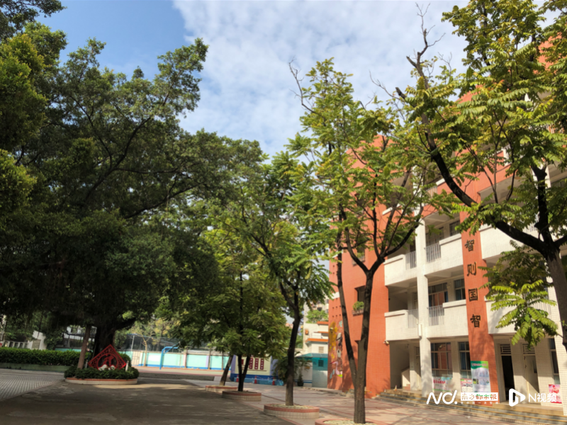 白云廣外附屬學校中學怎么樣_白云區廣外附小初中_白云區廣外附屬中學