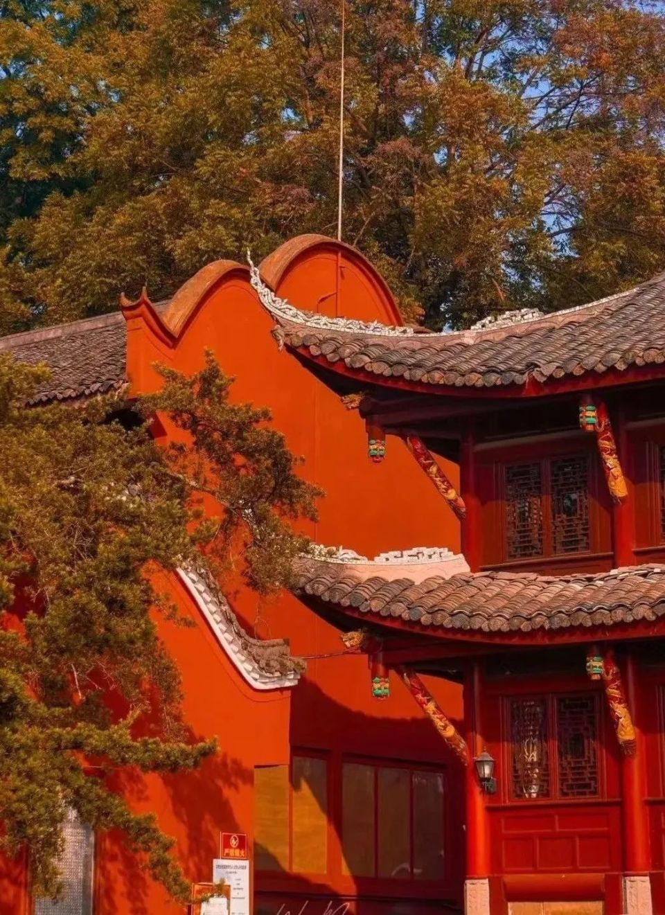 花海!美食!火把节!来感受被乐山【硬控】的假期!