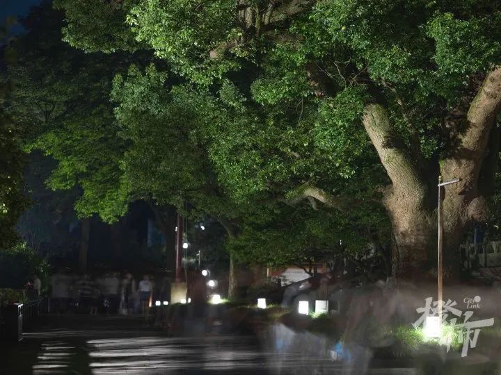 江浙没有夜生活最近杭州年轻人扎堆夜游灵隐寺