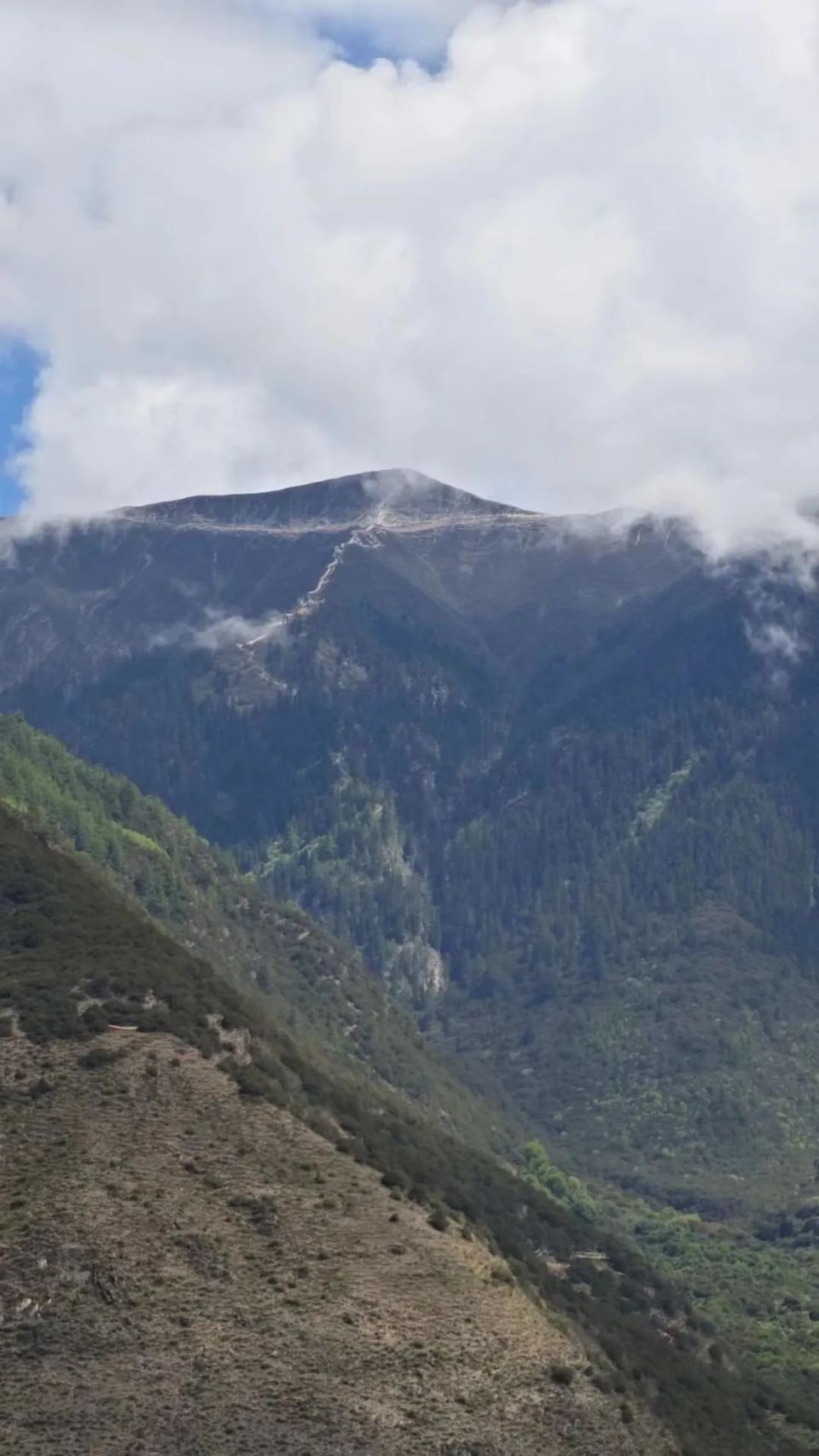 我们学校背后有一座雍仲苯教的神山,苯日神山,属于色季拉山山脉,在