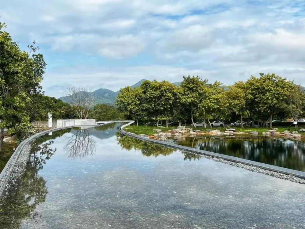 环西丽湖绿道示范段建成开放_腾讯新闻