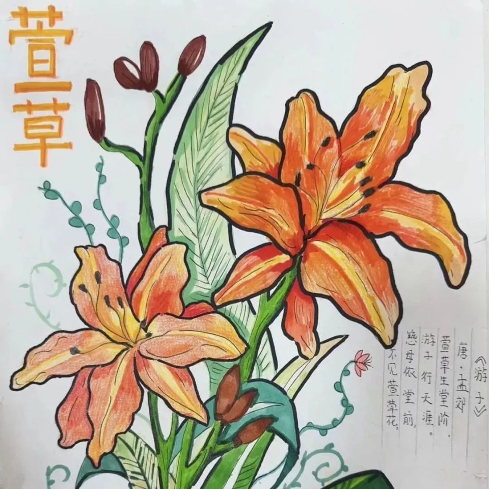 知百草,寻药香,洪山这所学校有个"百草园"