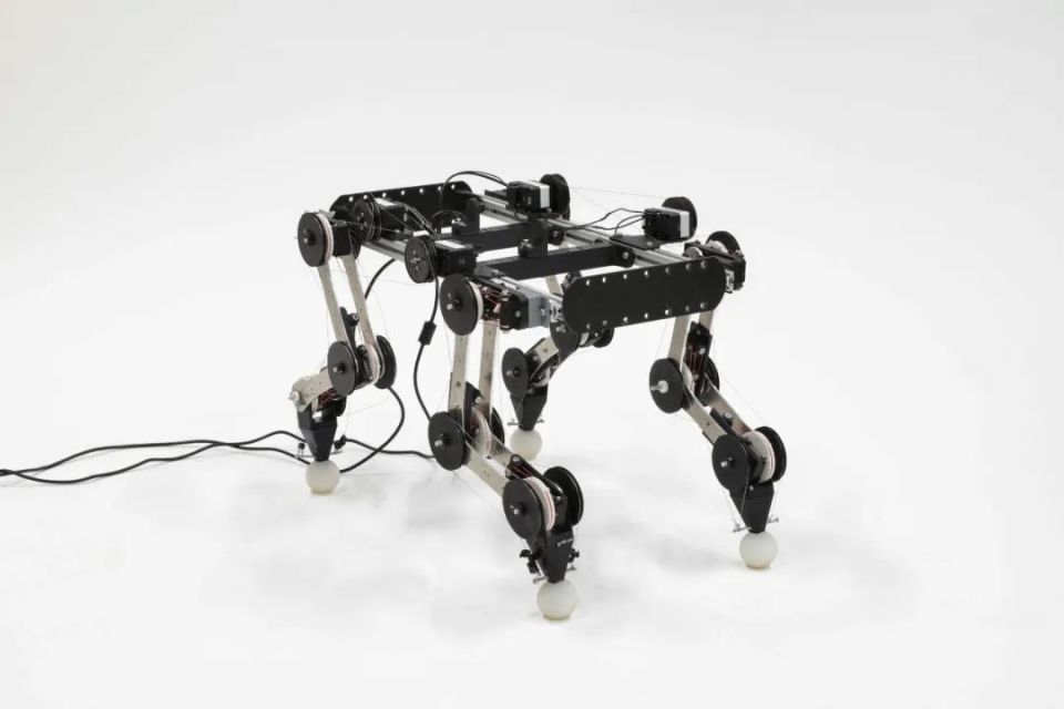 心电图机器怎么看追问weekly ｜ 过去一周，脑科学领域有哪些新发现？_https://www.jmylbn.com_新闻资讯_第31张