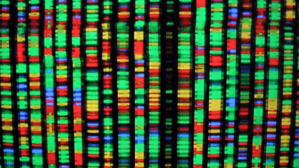 医学慈善机构斥资千万启动人工合成人类基因组计划？是利是弊引争议
