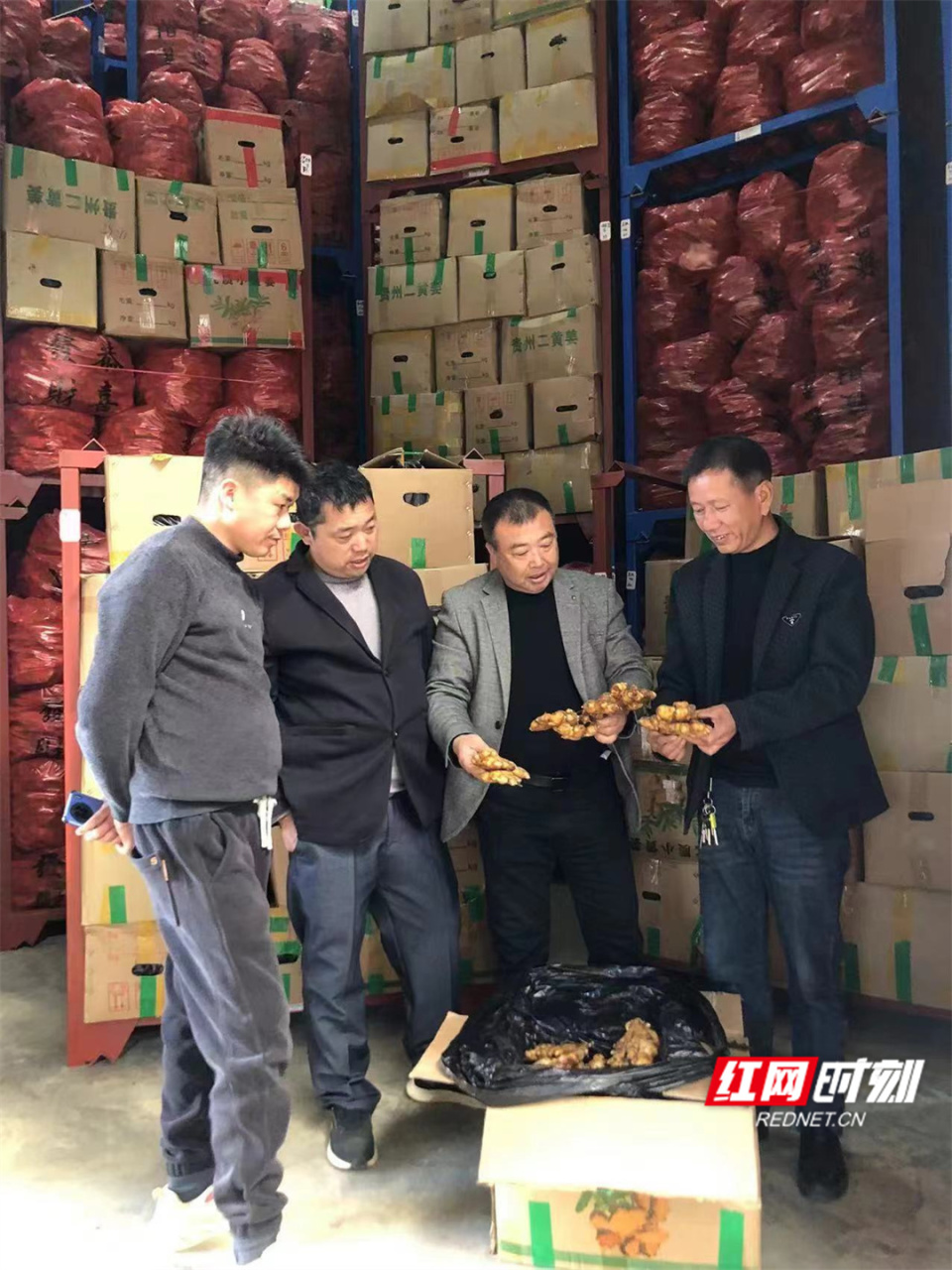 [南方生姜网-图片加载]