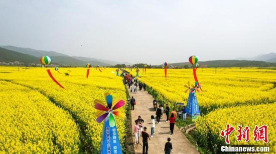 萍乡莲花油菜花节图片