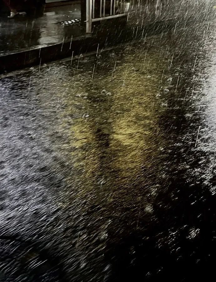 汉中发布暴雨大风预警