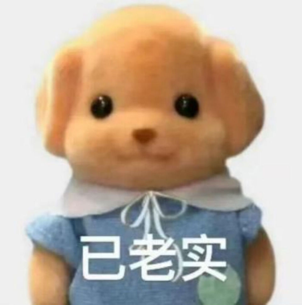 风靡群聊的扭腰小熊,老实狗……到底从哪来的?