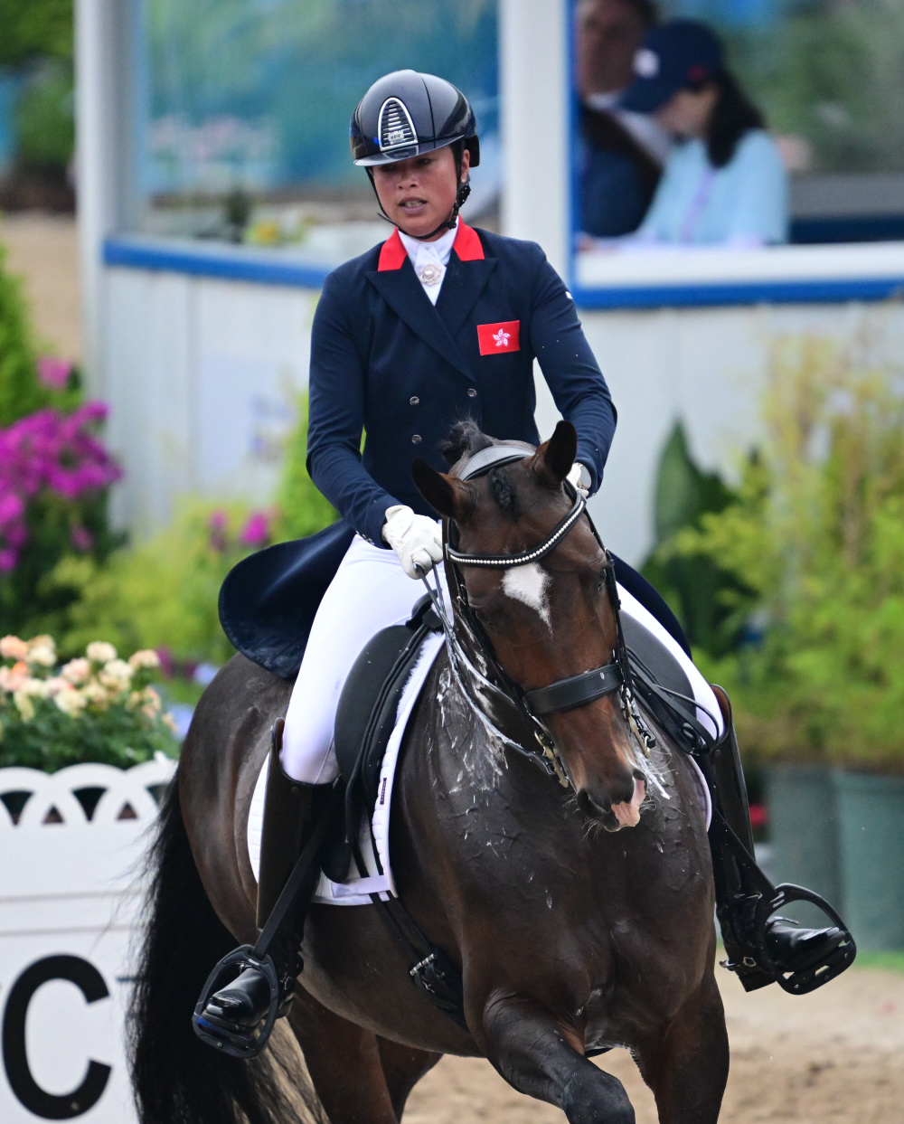 马术——盛装舞步个人赛完赛_腾讯新闻