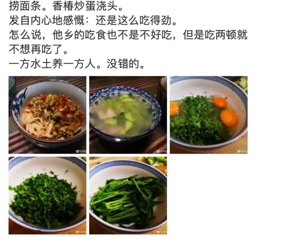 河南人的DNA里不可能缺少捞面条_腾讯新闻