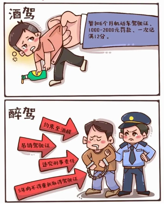 站住!每次查酒驾都有你!| 五大曝光