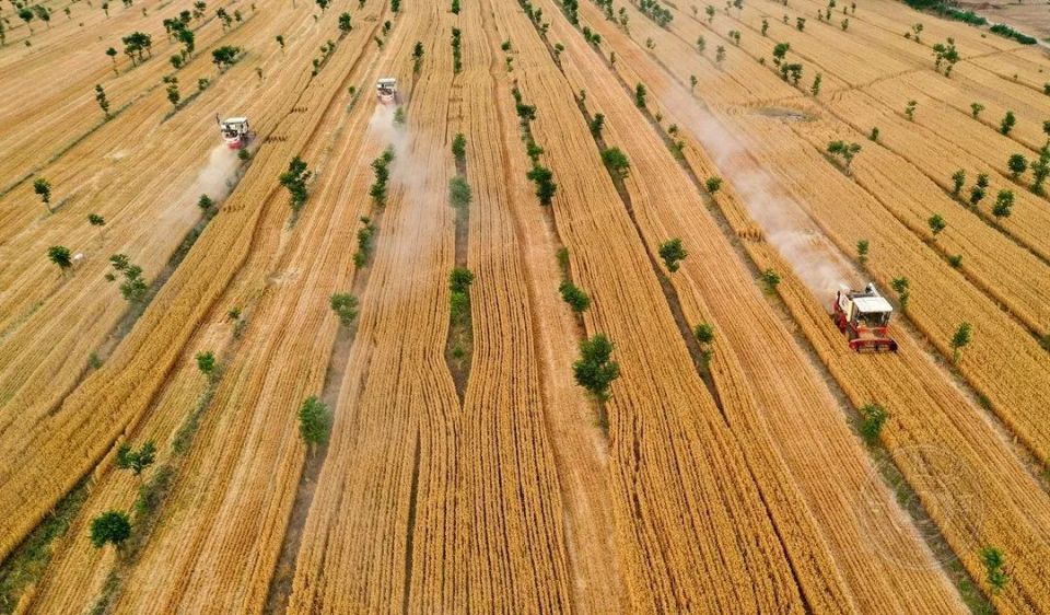 阜阳航拍 | 第四届"鸟瞰视界"全国航拍大赛投稿作品精选