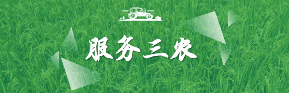 【服务三农】宁明农商银行助力小龙虾特色产业发展