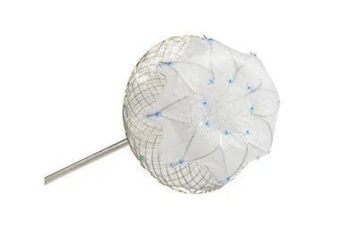 骨盆手术器械有哪些2023十大自主创新医疗器械产品_https://www.jmylbn.com_新闻资讯_第22张