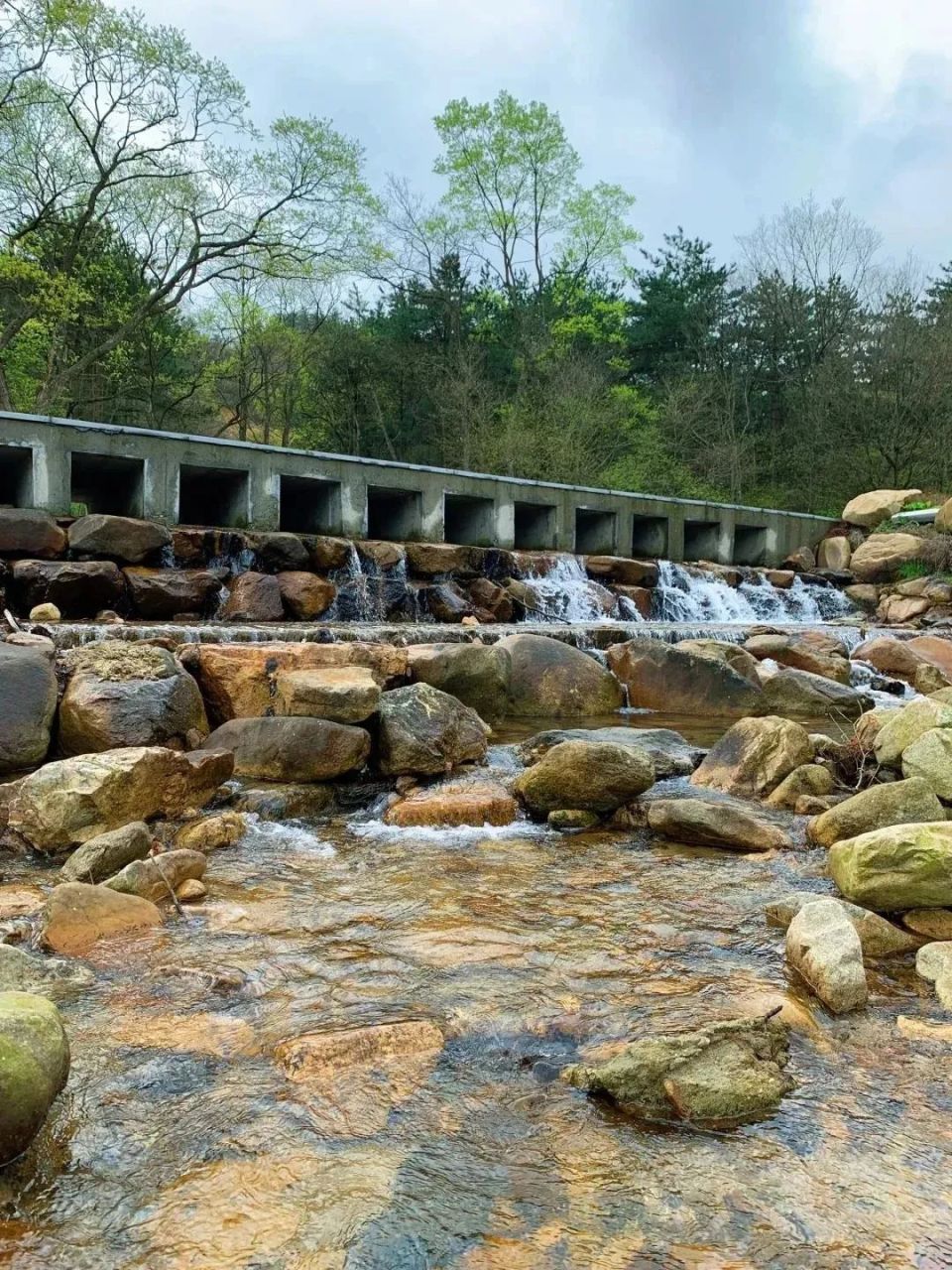 徽常清凉 | 向山而行,自在寻清凉!