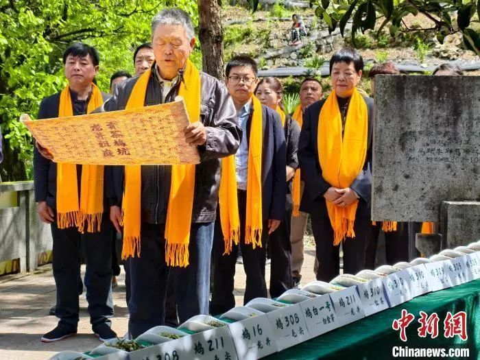 为什么宁静贴片这么贵聚焦浙里：中新社浙江新闻周报_https://www.jmylbn.com_新闻资讯_第30张