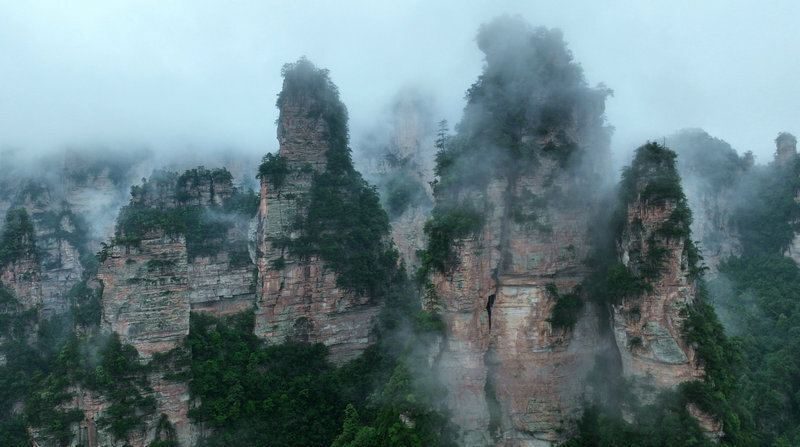张家界武陵源:黄石寨雨后峰林云海波澜壮阔