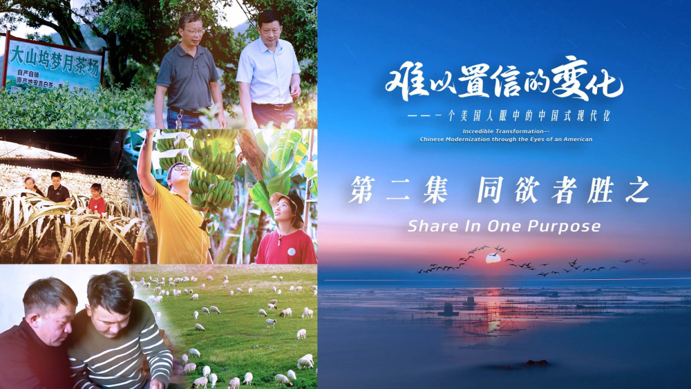 当美国人潘威廉走进中国广袤的农村大地,发现浙江安吉的"一叶白茶"已