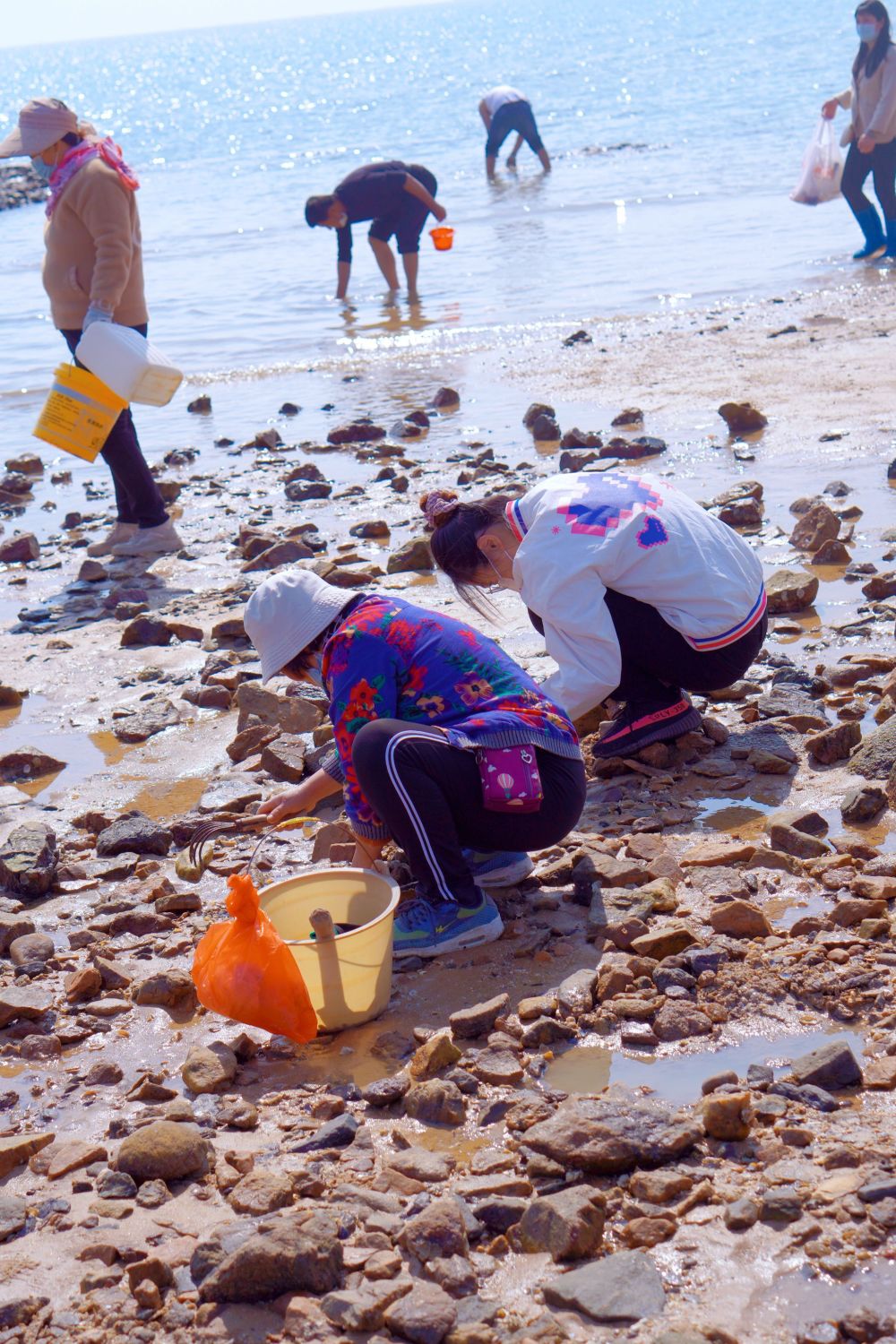 日照赶海秘籍快学起来呀