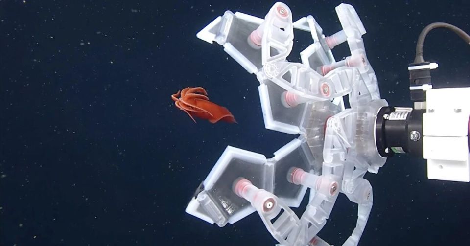 手术钳怎么拿折纸竟然可以如此高端！_https://www.jmylbn.com_新闻资讯_第5张