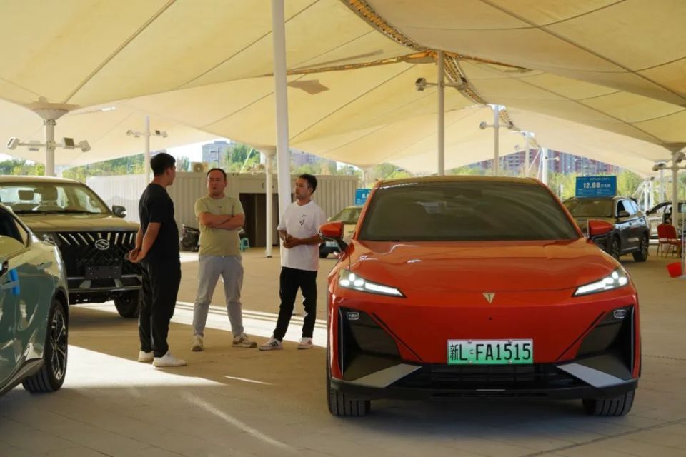 在纳凉休闲中"一站式"看车,购车