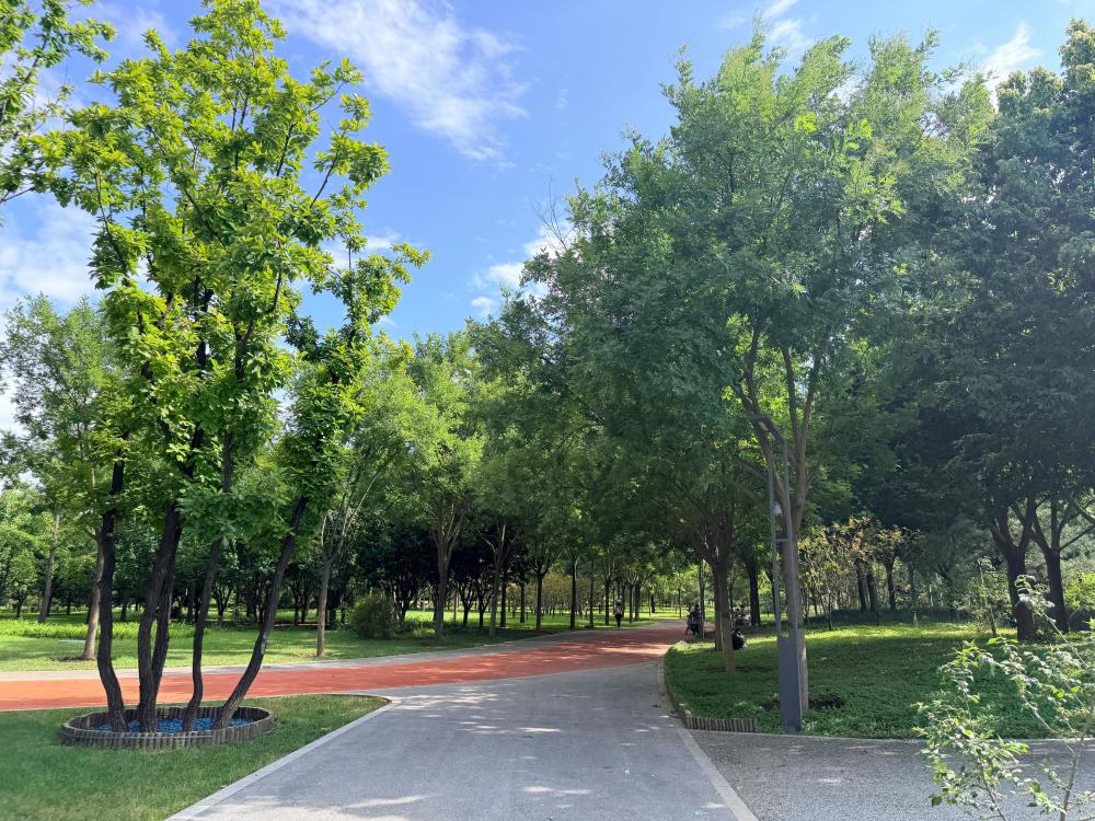 丽泽滨水文化公园邂逅澄澈好光景_腾讯新闻