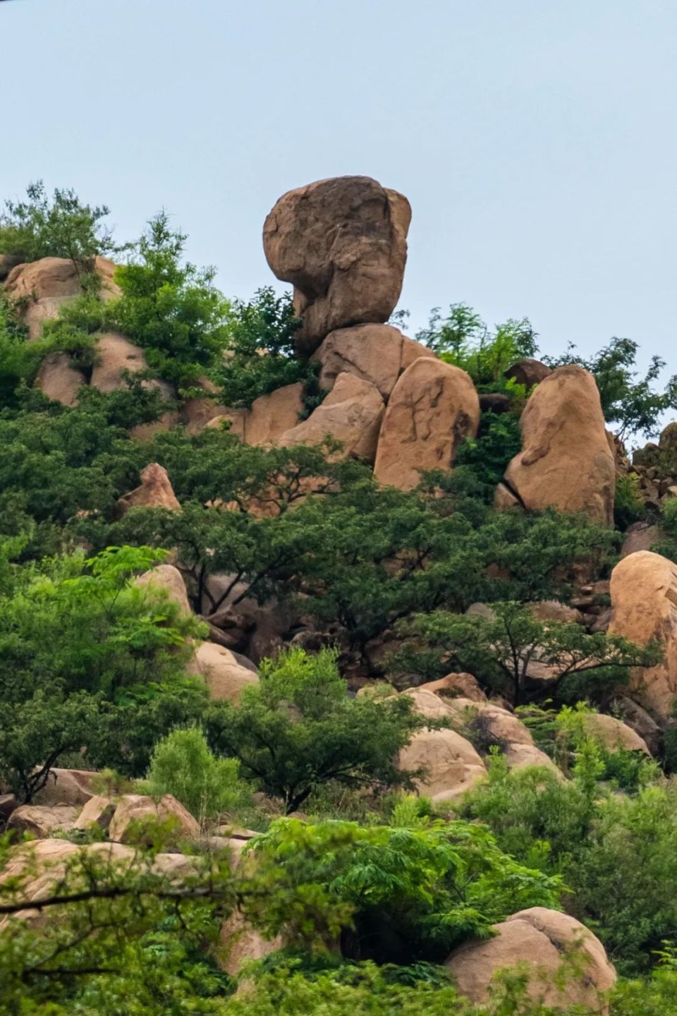摄影:王啸 2021年于皇龙冠莱芜皇龙冠景区当天免首道门票景区咨询电话