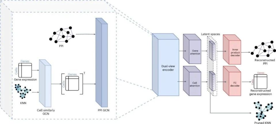 心电图机器怎么看追问weekly ｜ 过去一周，脑科学领域有哪些新发现？_https://www.jmylbn.com_新闻资讯_第28张
