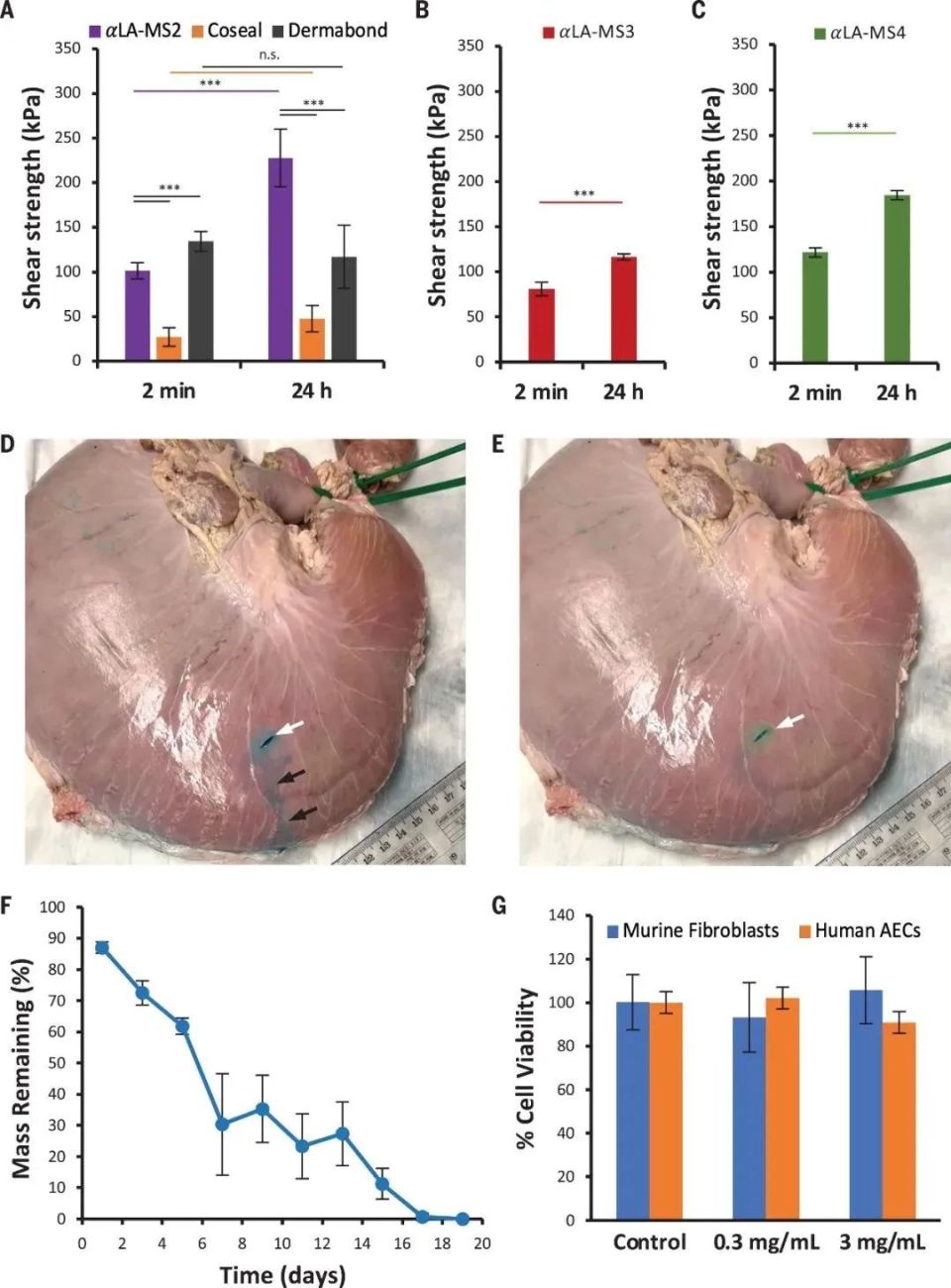 医用粘合剂叫什么名字医用高分子粘合剂登上《Science》_https://www.jmylbn.com_新闻资讯_第3张