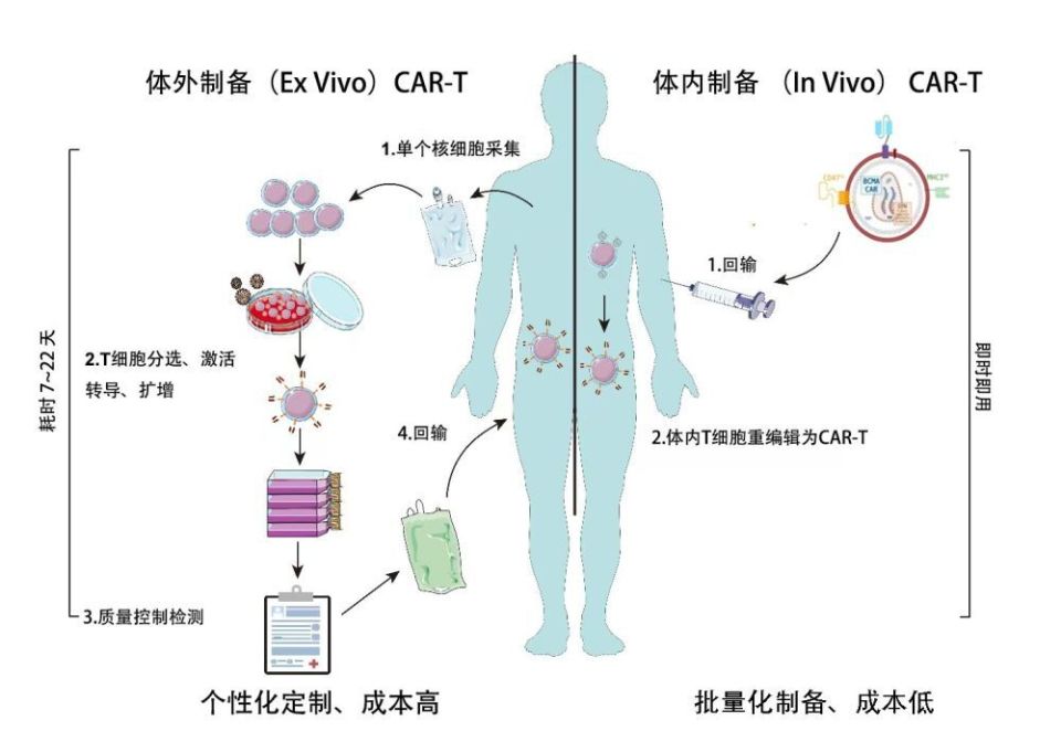 华中科大协和医院血液科新突破！CAR-T疗法治疗骨髓瘤成功？