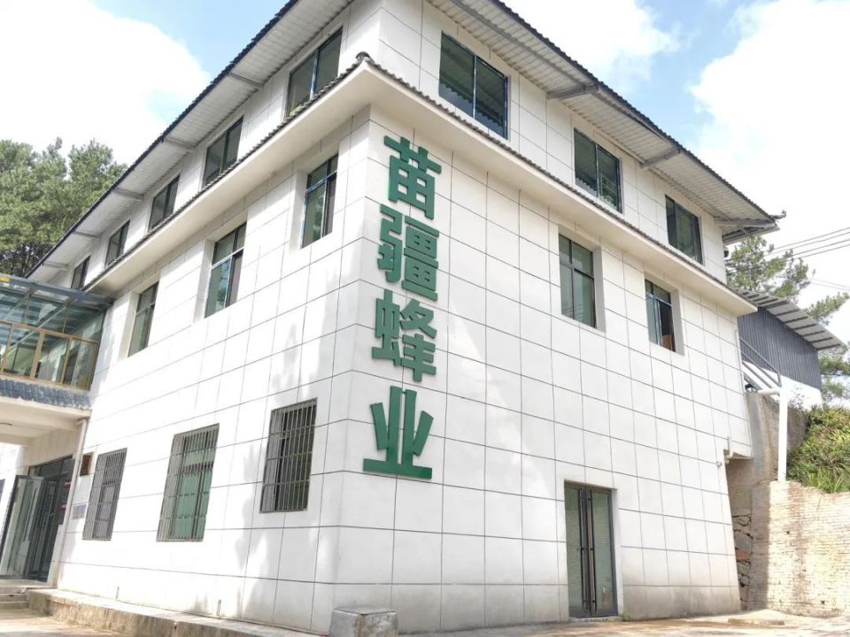 走进贵州省黄平县上塘镇永爱村甜蜜谷,绿树成荫,层层叠叠的大树依旧是