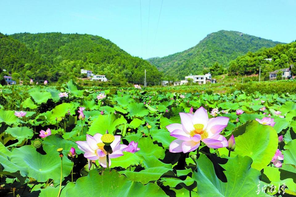 文化中国行丨探访湖湘源:隐山不隐