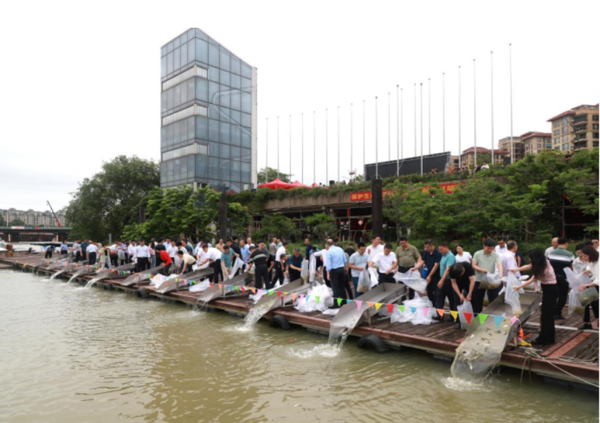 40万尾鱼苗!广州增城开展渔业资源增殖放流活动